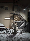 Alexey Kondakov, Romantic Encounter, 2024