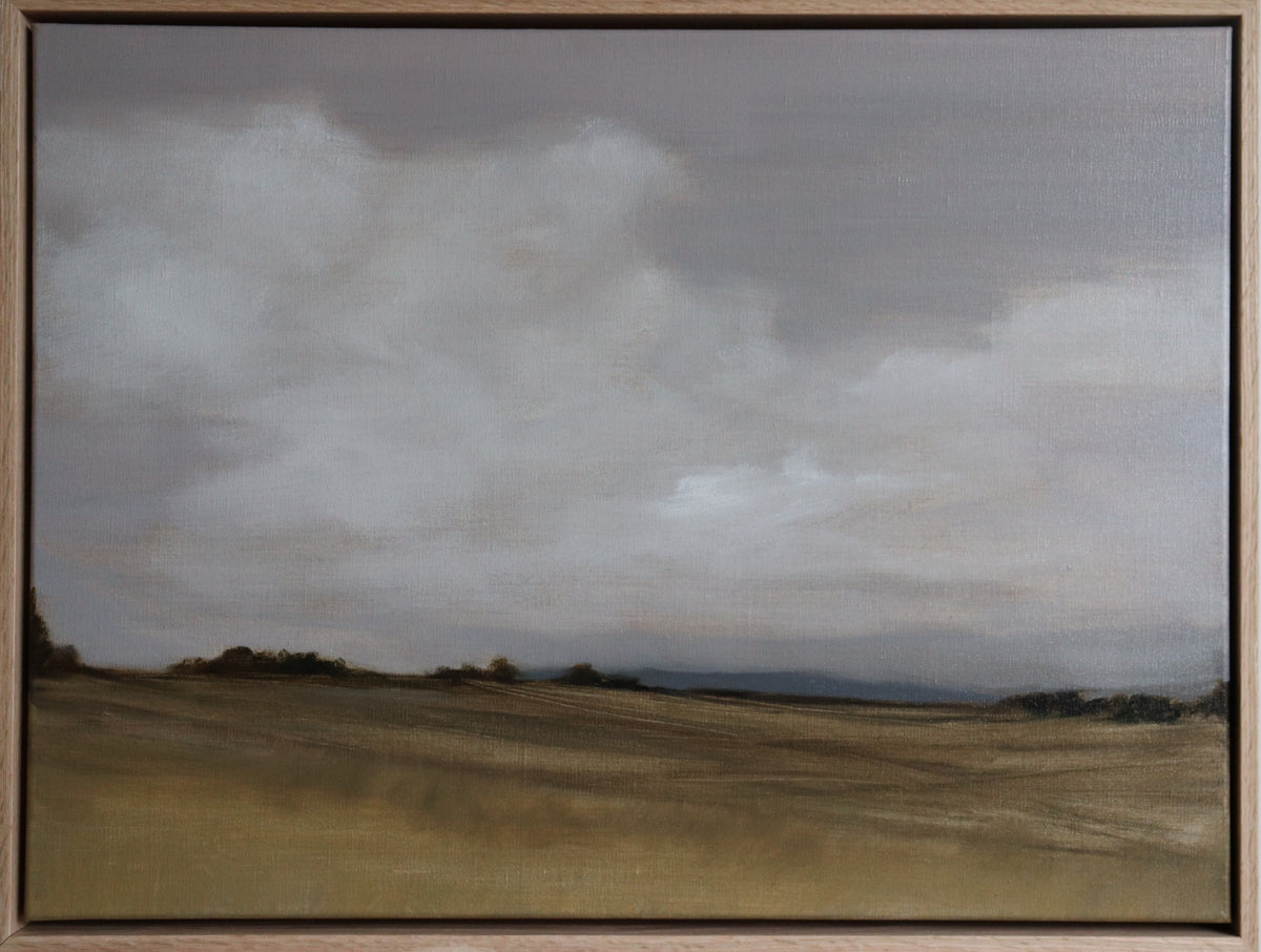 Jessica Olpp, Champs sous un ciel gris-rose