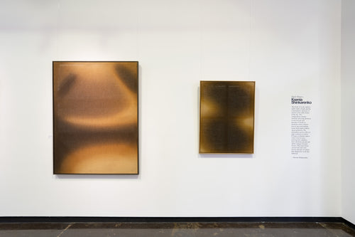 CONTACT GALLERY  |   Ksenia Shinkarenko, Pinot