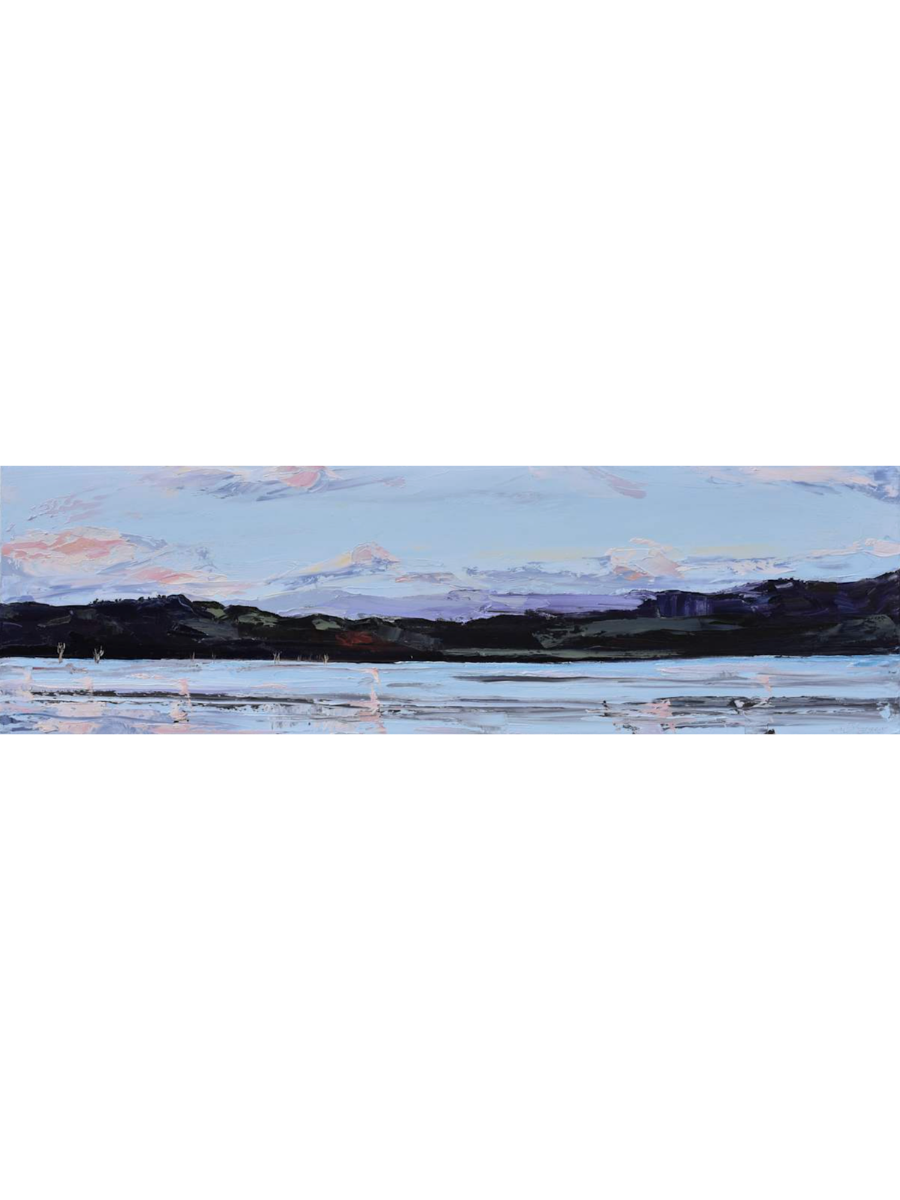Wendy Jagger, Gloaming Goughs Bay 2