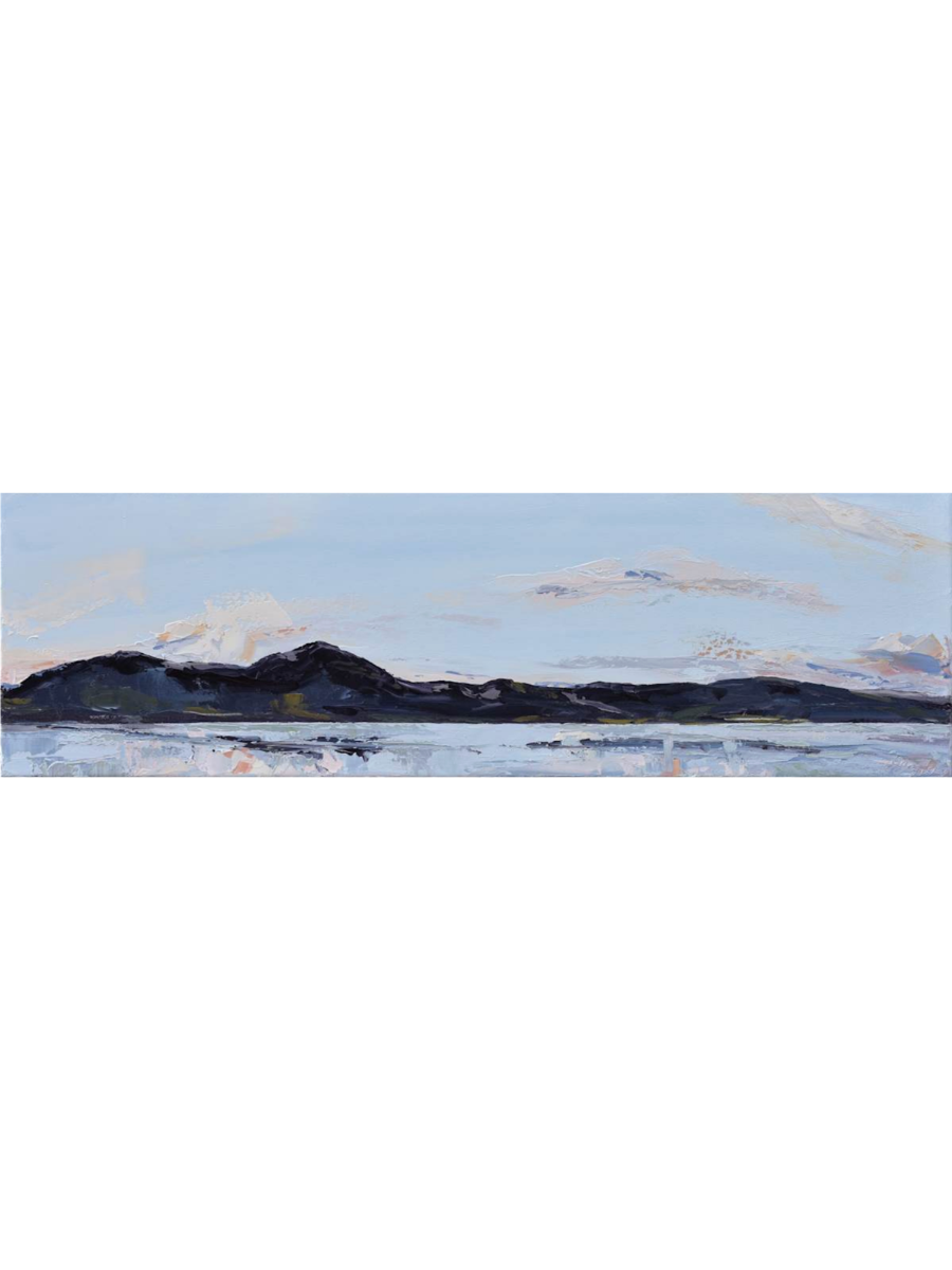 Wendy Jagger, Gloaming Goughs Bay 1
