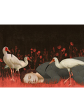 Daria Petrilli, The Dreamer